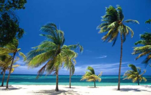 Lush vegetation, white beaches and emerald waters of Atlantic Ocean wait tourists in Guardalavaca. Coral reef, the unique place for diving lies in 900 m from the shore 