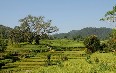 Nepal, landscape صور