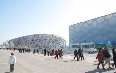 Bird's Nest and Water Cube Images