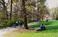 Central Park during Spring Day صور