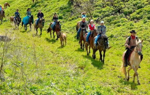Один из популярных туристических маршрутов в Южной Африке – экскурсионные конные туры по заповедным территориям в сопровождении опытного гида-проводника