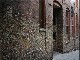 Gum Wall Seattle