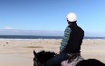 Horseriding in Port Stephens 图片