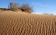 Kyzyl Kum desert Images