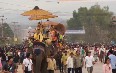 Lao Elephant Festival 图片