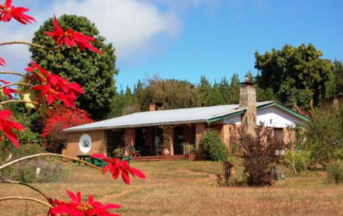 Охотничий домик Лувава-Форест-Лодж, расположенный в очаровательной тихой долине Лувава в горах Вифья на севере Малави, отличное место для семейного отдыха