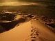 Namib Desert