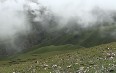 Road from Lhasa to Gyantse صور