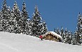 Sinaia ski resort صور