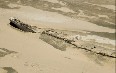 Skeleton Coast صور