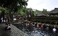 Tirta Empul Temple 图片